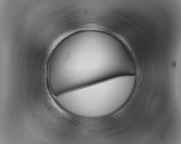 X0000113921387200909241319