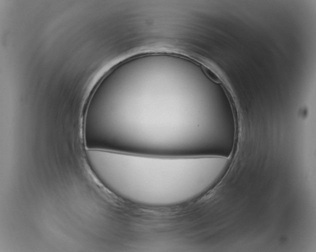 X0000113921388200909241319