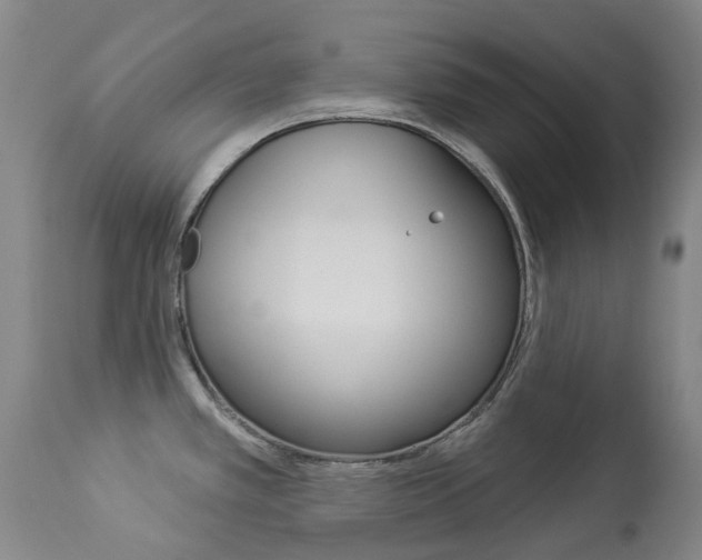 X0000113921389200909241319