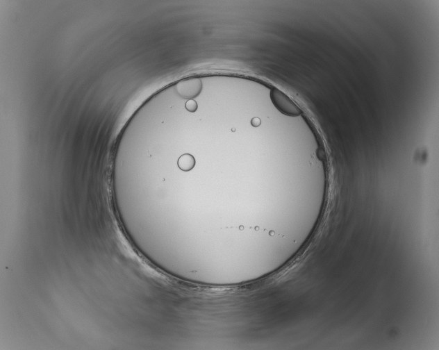 X0000113921390200909241319