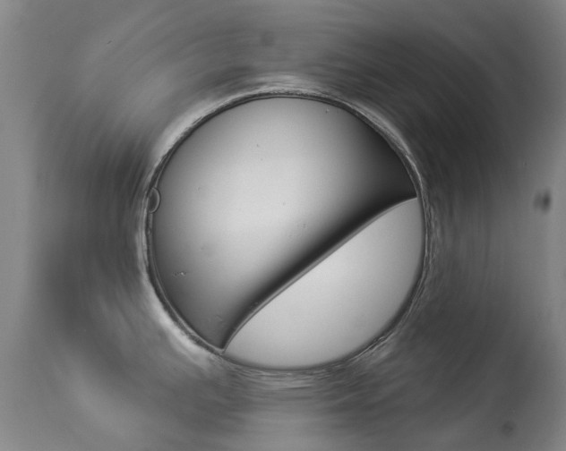 X0000113921391200909241319