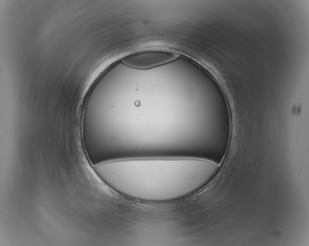 X0000113921392200909241319