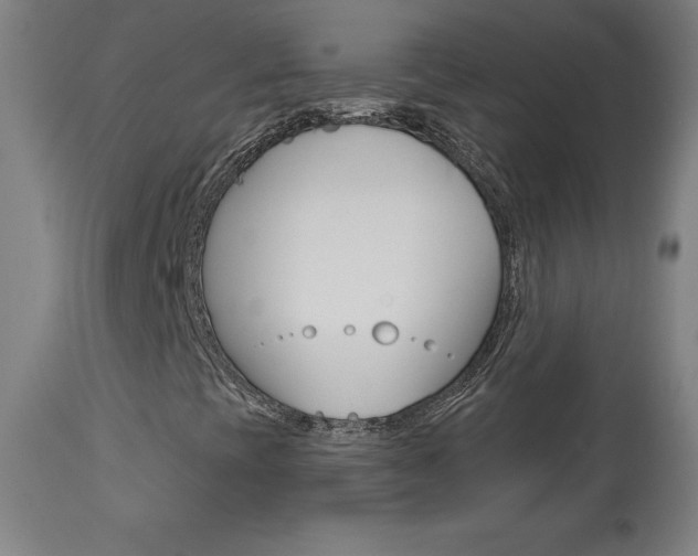 X0000113921393200909241318