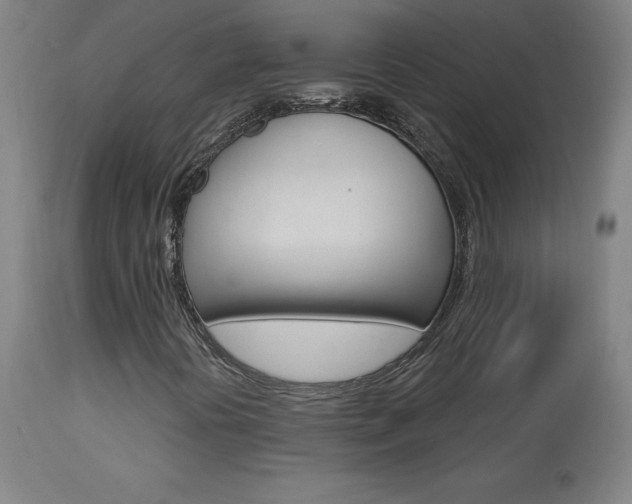 X0000113921394200909241318