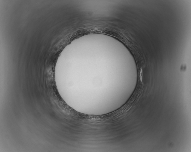 X0000113921395200909241318