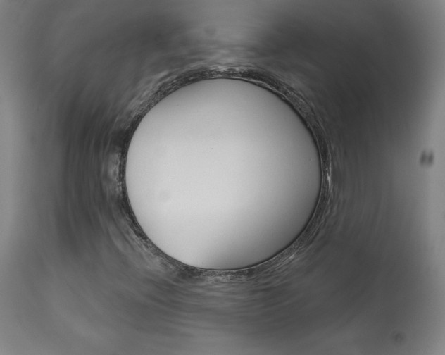 X0000113921396200909241318