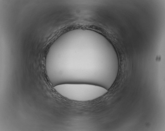 X0000113921397200909241318