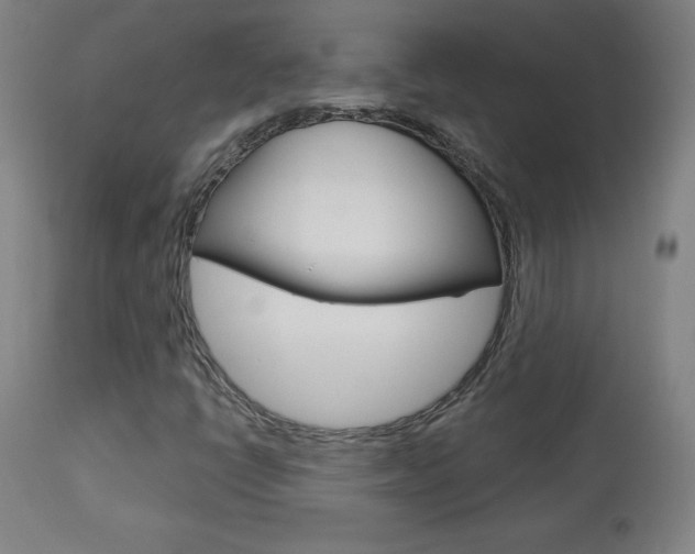 X0000113921398200909241318