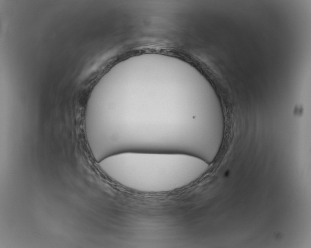 X0000113921399200909241318