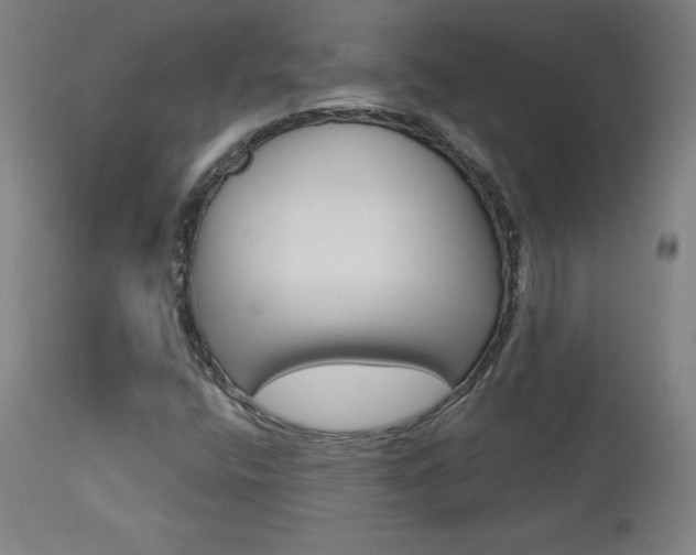 X0000113921400200909241318