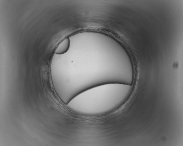X0000113921401200909241318