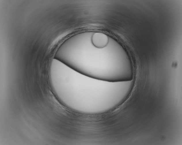 X0000113921402200909241318