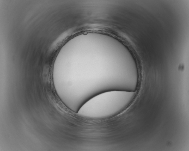 X0000113921403200909241318