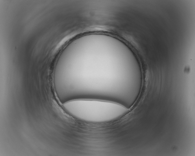 X0000113921404200909241318