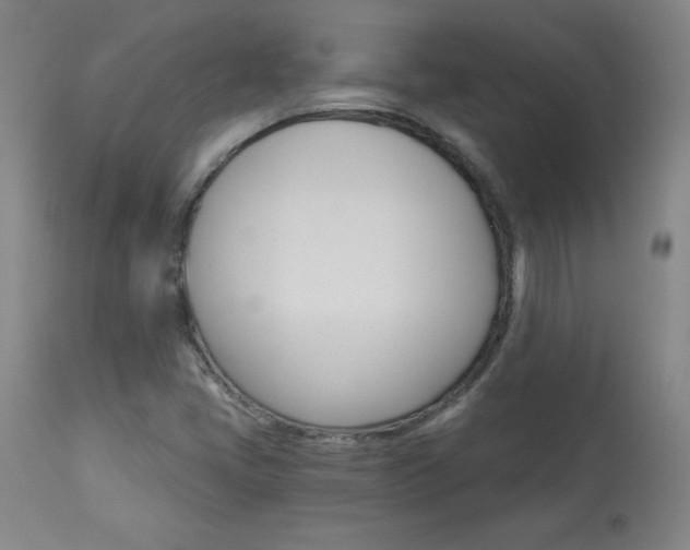 X0000113921405200909241318