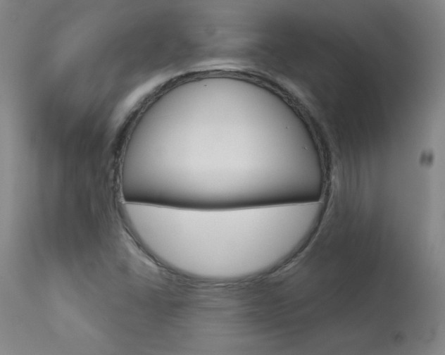 X0000113921406200909241318