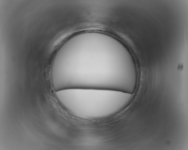 X0000113921407200909241318