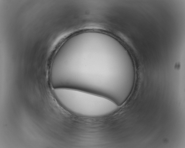 X0000113921408200909241318