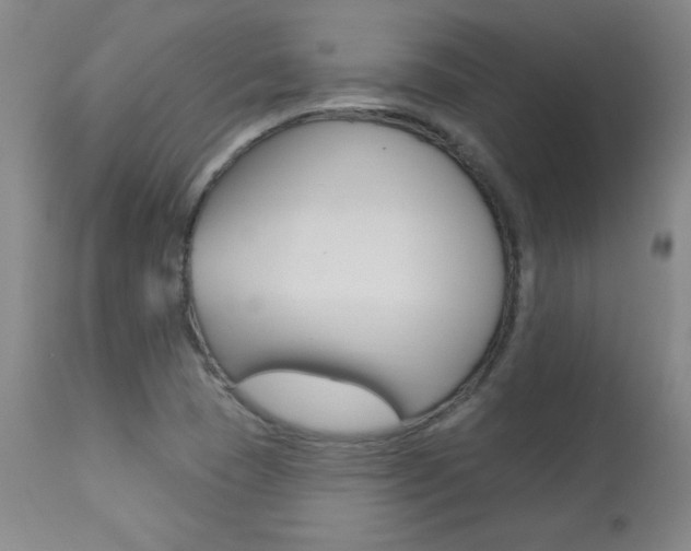 X0000113921409200909241318