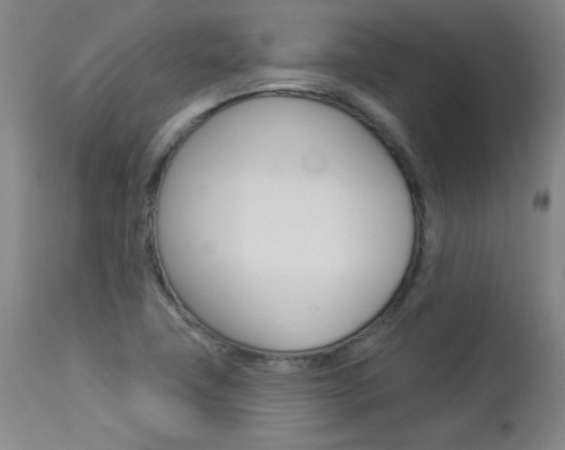 X0000113921411200909241318