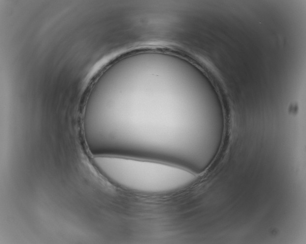 X0000113921412200909241318