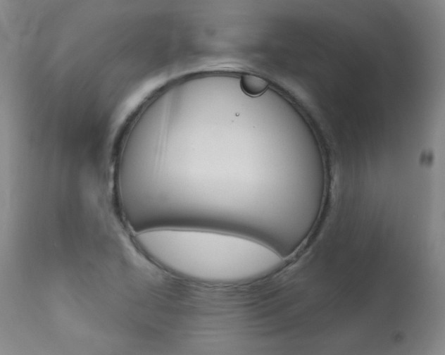 X0000113921414200909241318