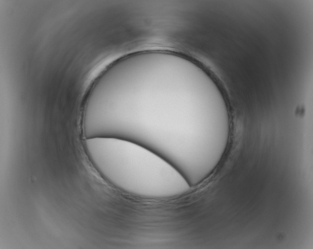 X0000113921415200909241318