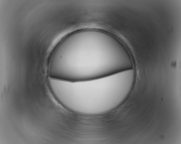 X0000113921416200909241318