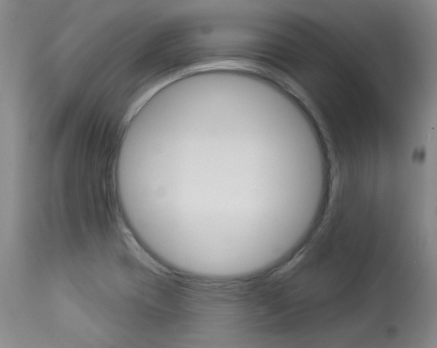 X0000113921417200909241318