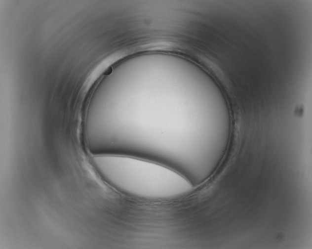 X0000113921418200909241318