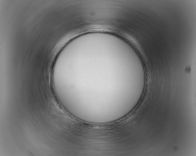 X0000113921419200909241318