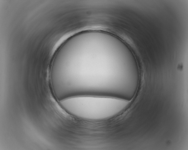 X0000113921420200909241318