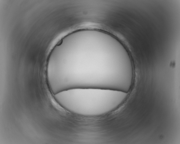 X0000113921421200909241318