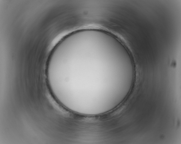 X0000113921422200909241318