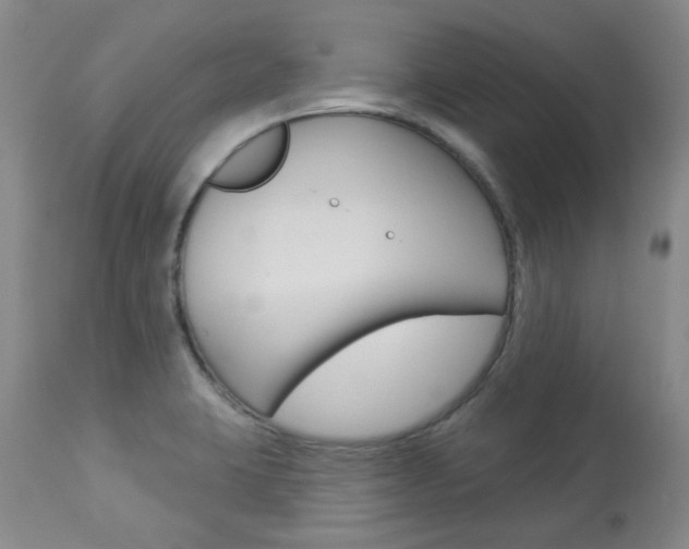 X0000113921423200909241318