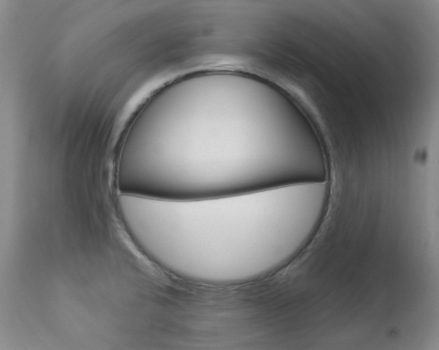 X0000113921424200909241318