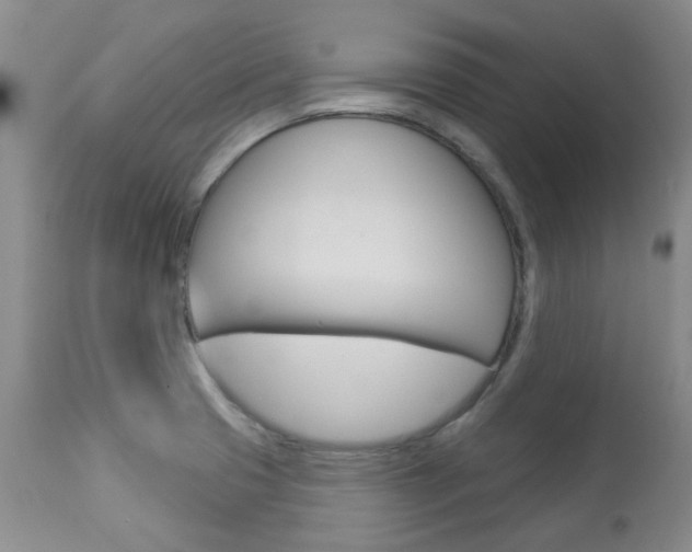X0000113921425200909241318