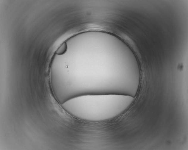X0000113921427200909241318