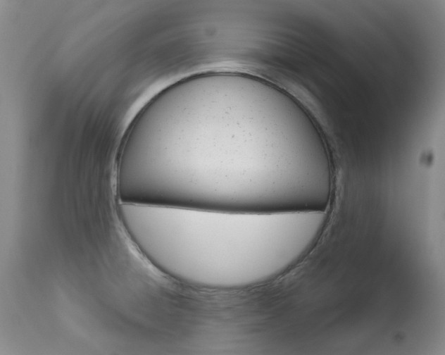 X0000113921428200909241319