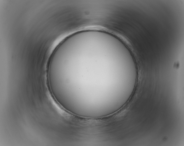 X0000113921430200909241319