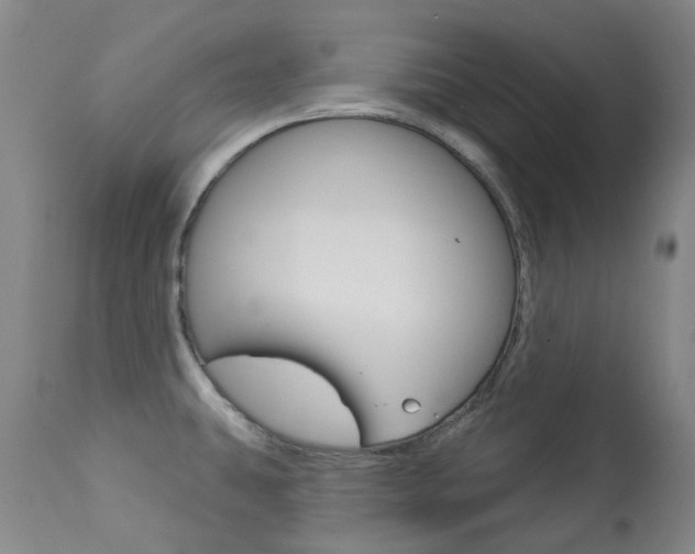 X0000113921431200909241319