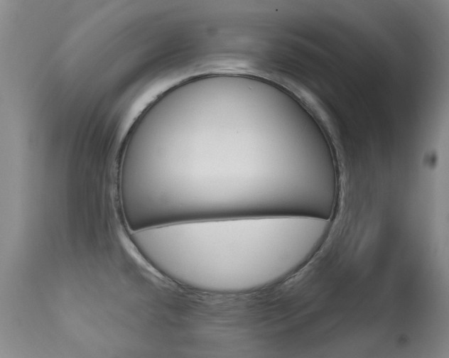 X0000113921432200909241319