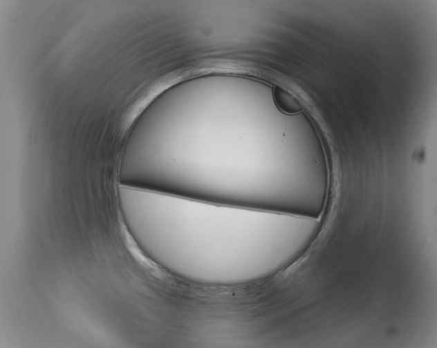 X0000113921433200909241319