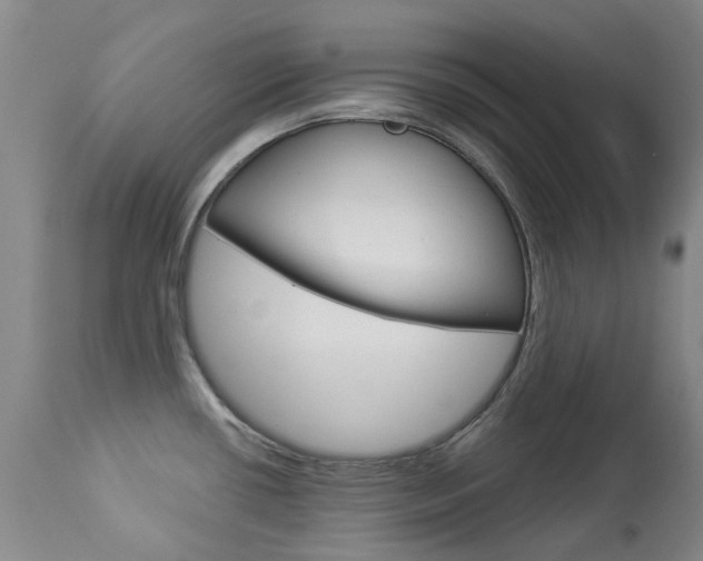X0000113921434200909241319
