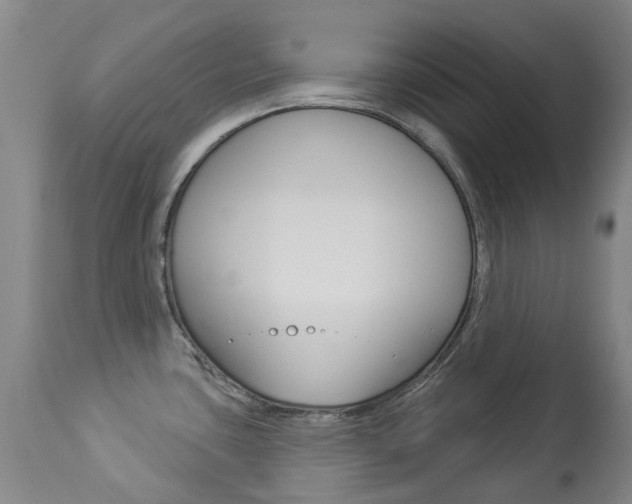 X0000113921435200909241319