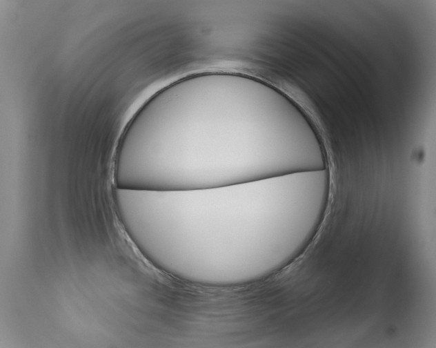 X0000113921436200909241319