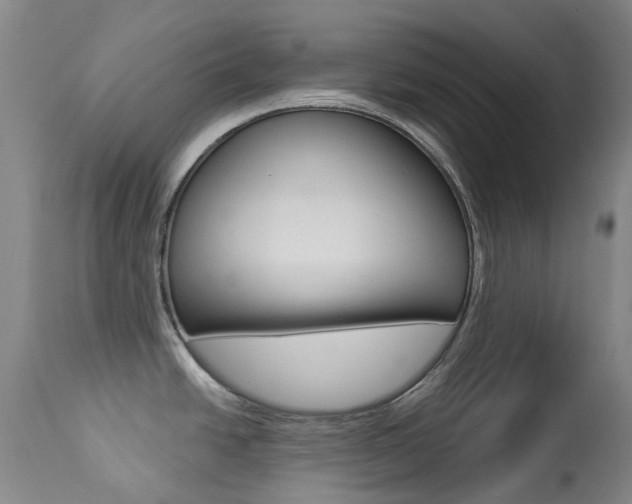 X0000113921438200909241319