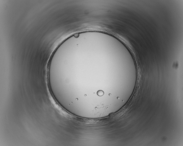 X0000113921439200909241319