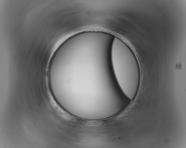 X0000113921440200909241319
