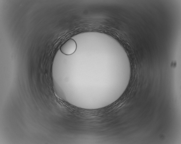X0000113921441200909241318